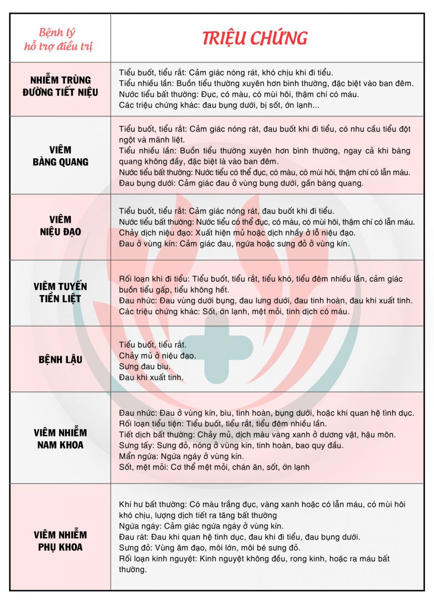 Các bệnh tiết niệu đang được hỗ trợ điều trị tại Đa khoa Tháng Tám 